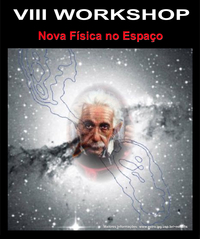 VIII Workshop Nova Física no Espaço